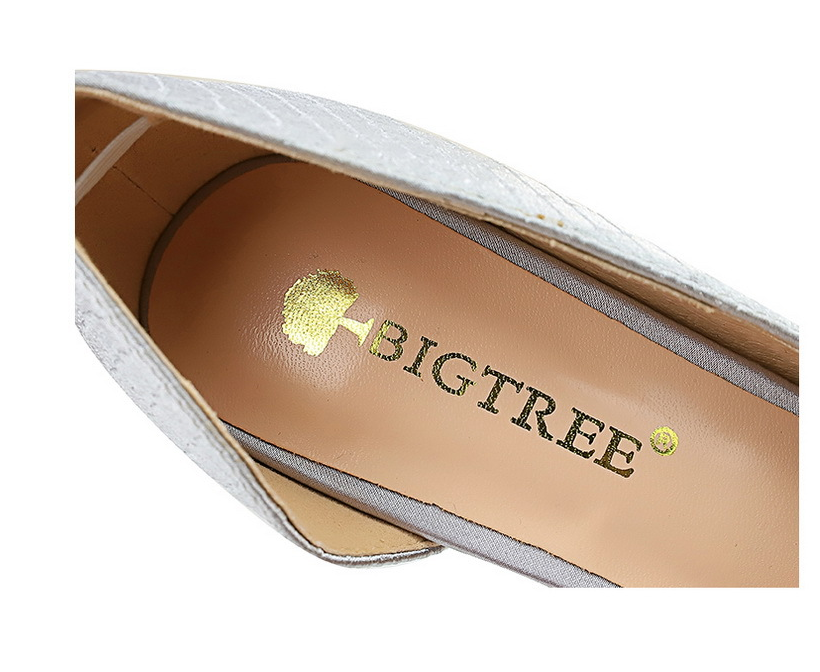 Elegant Pointed Shoes