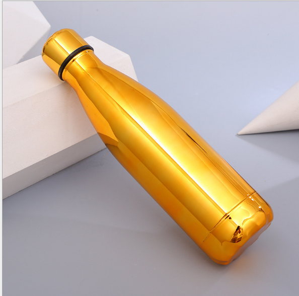 Stainless Steel Water Bottle