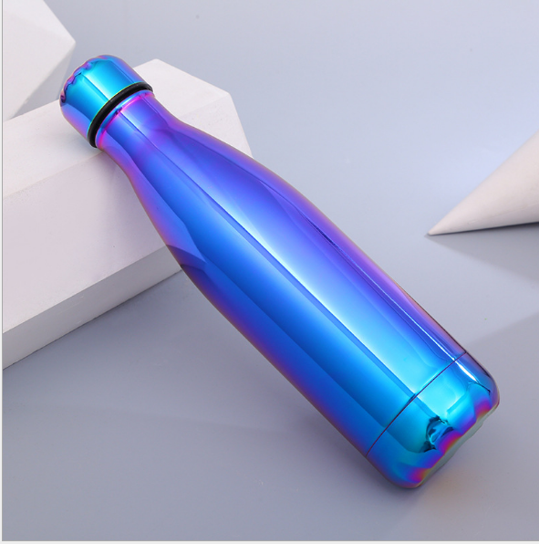 Stainless Steel Water Bottle