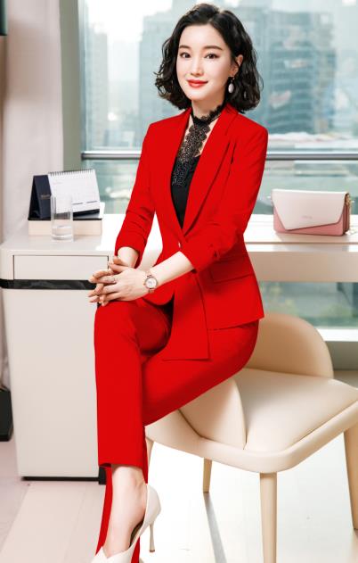 Ladies Formal Work Suit