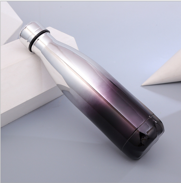 Stainless Steel Water Bottle