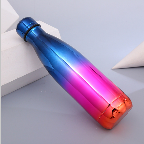 Stainless Steel Water Bottle