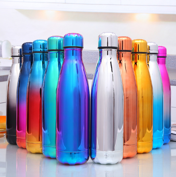Stainless Steel Water Bottle
