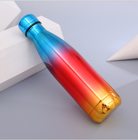 Stainless Steel Water Bottle