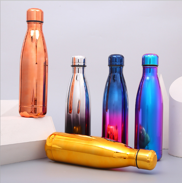 Stainless Steel Water Bottle