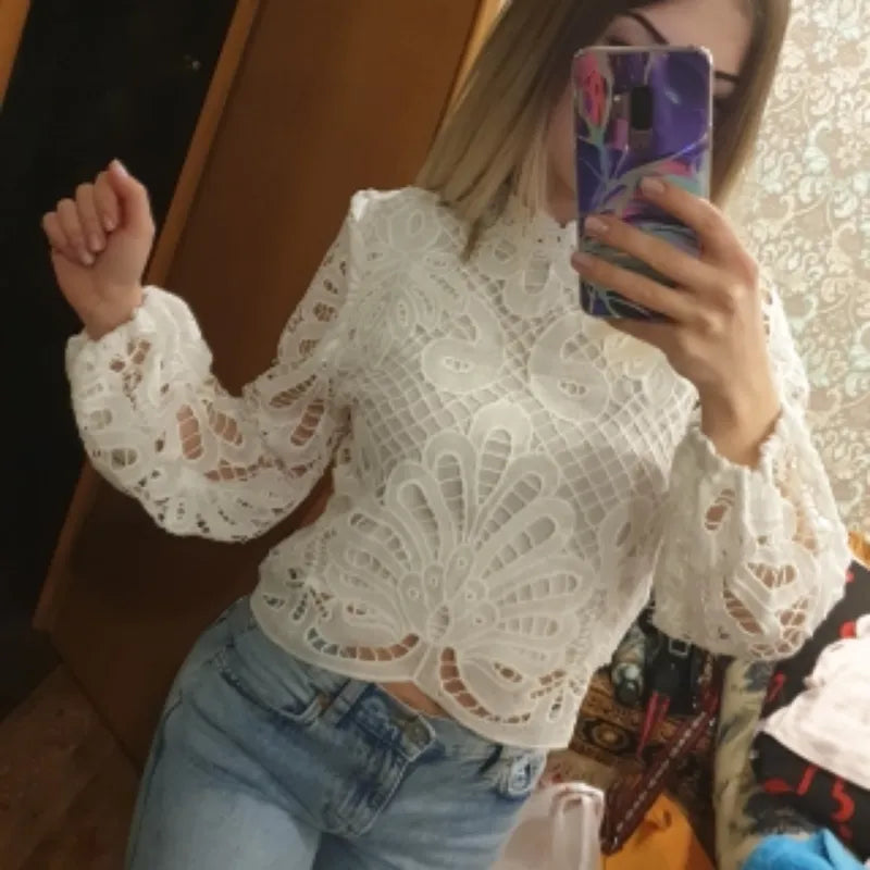 White Casual Crochet Hollow Out Crop Top