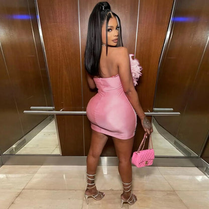 Sexy Clubwear Mini Dress for Women